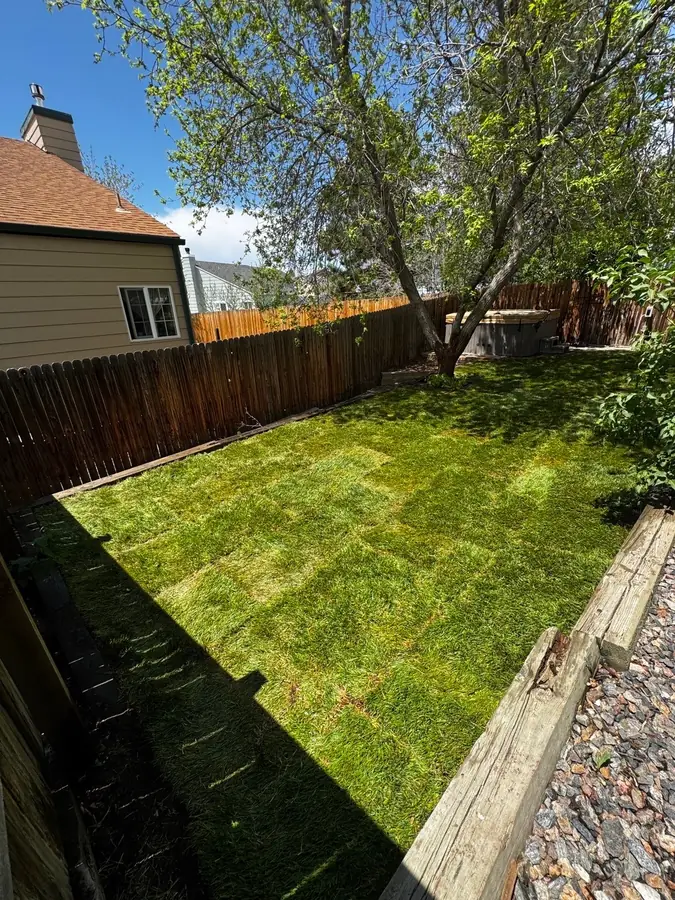 Fresh sod installation in fenced backyard