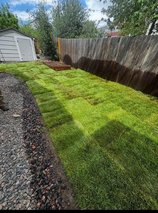 New sod laid along side yard with gravel border
